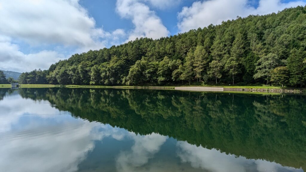 Google Pixel 6aのカメラで撮影した蓼の海公園